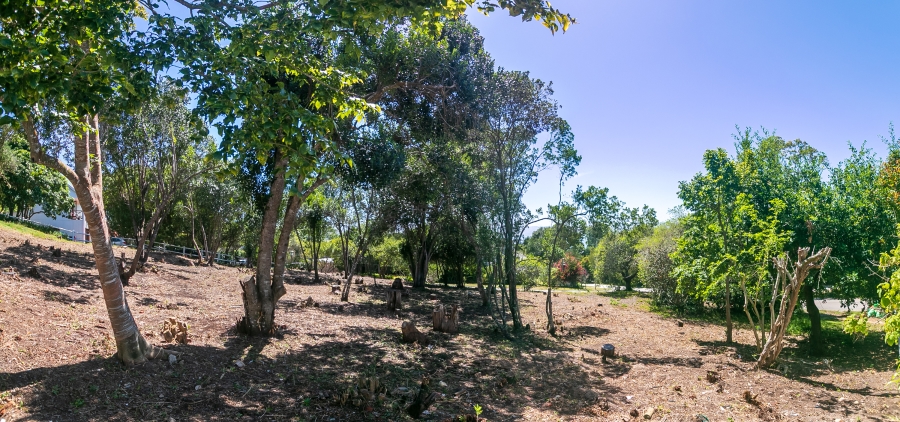 0 Bedroom Property for Sale in Belvidere Estate Western Cape